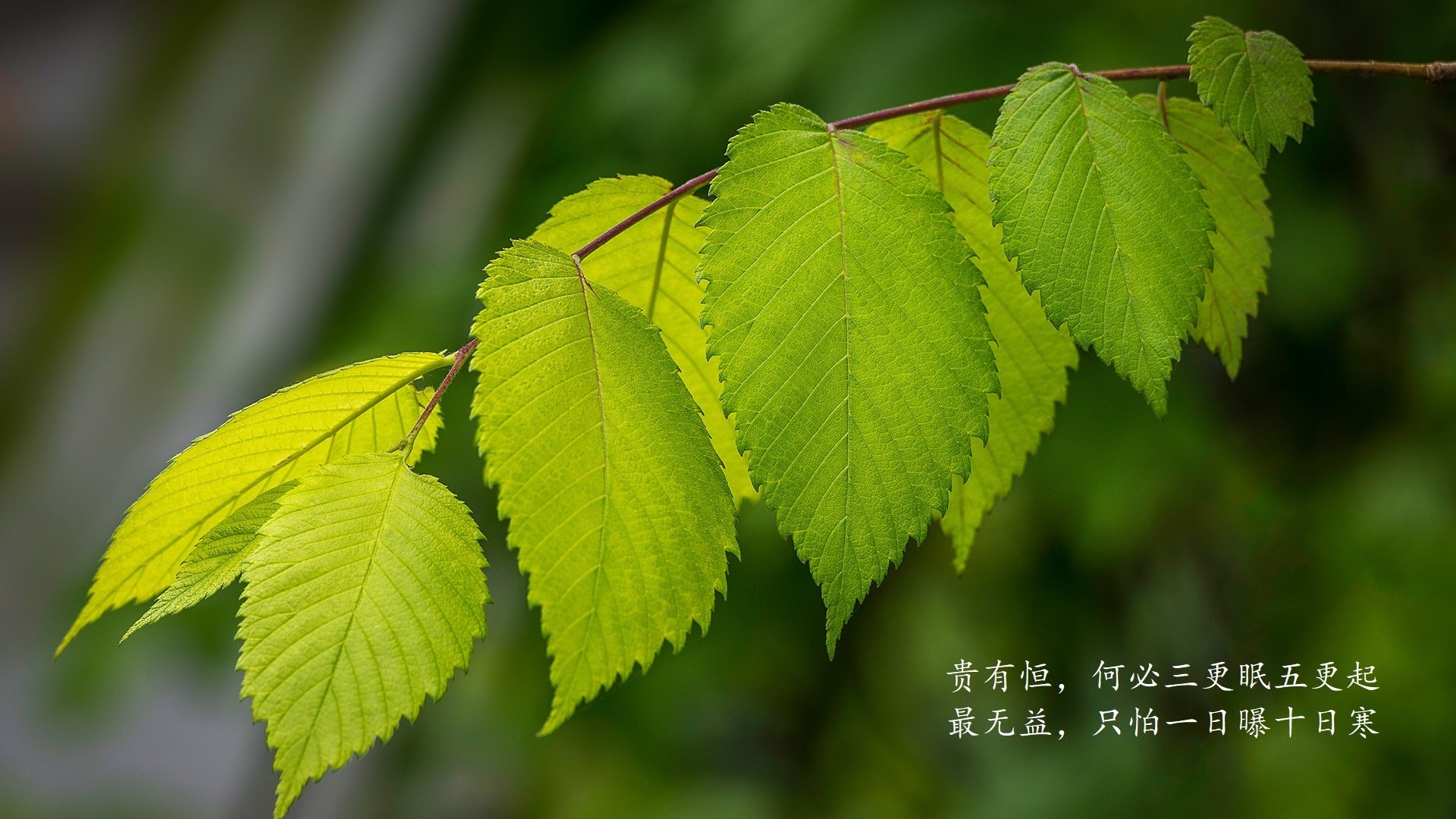 华体会app安装-赛事组织中的应急响应机制实操案例，竞赛活动应急预案