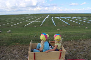 华体会app下载-青少年田径专项训练个性化方案探讨，青少年田径训练营