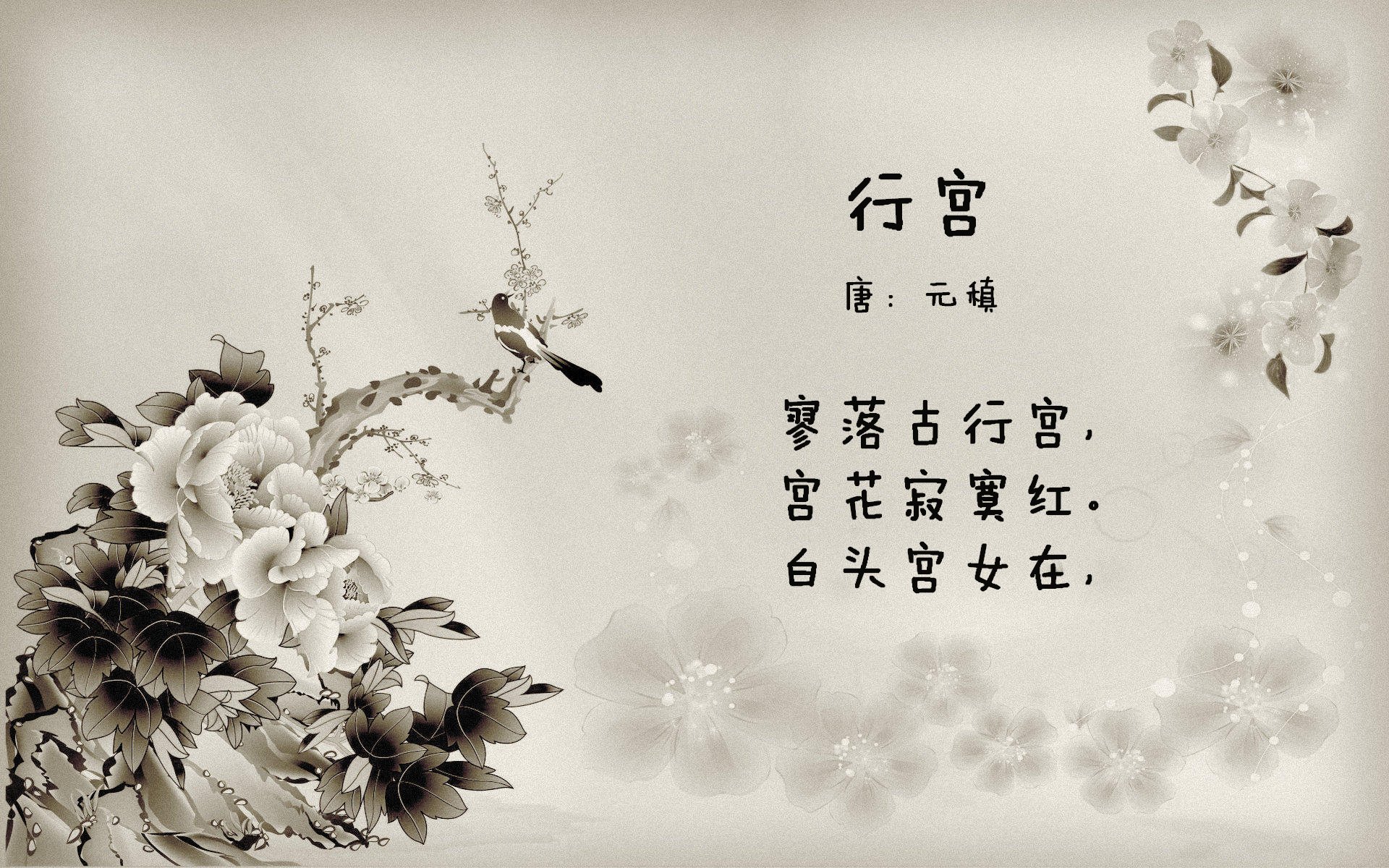 华体会在线下载-“宽板滑水：东三叉湖赛场掀起水上竞技风暴”