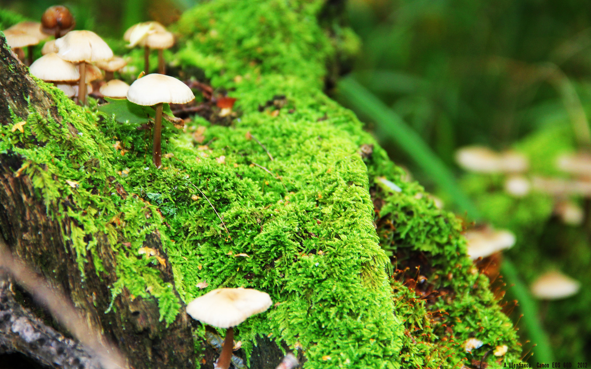 华体会在线登录-“自由搏击英雄集结，四川省体育馆上演极限对决”