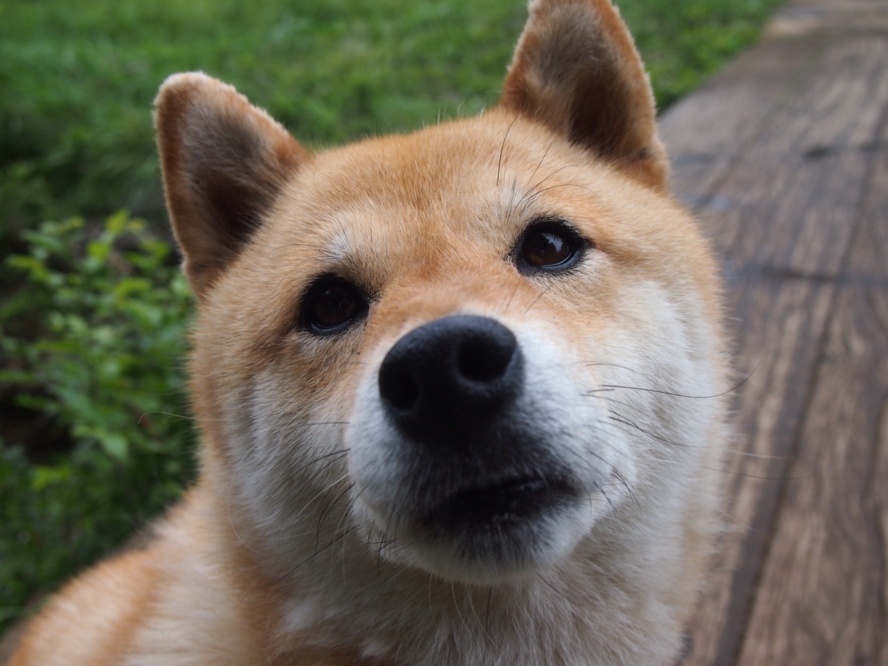 华体会app注册-中超联赛中国队战平 球迷呼吁加强防守，中超球队最新新闻