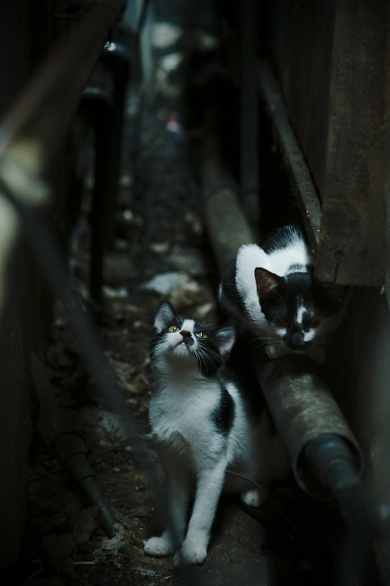 华体会登录地址-技术数据反映西班牙选手整体提升，西班牙大赛数据