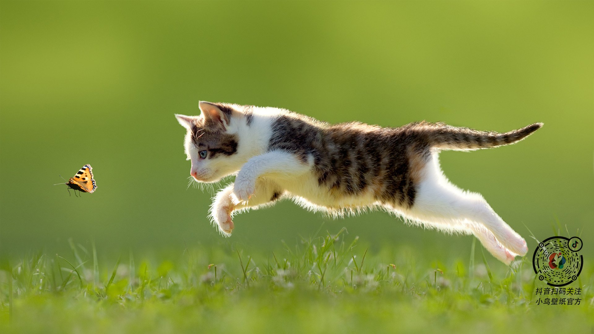 华体会app安装-法国乒乓选手表现惊艳，成功晋级决赛，法国乒乓球队员名单