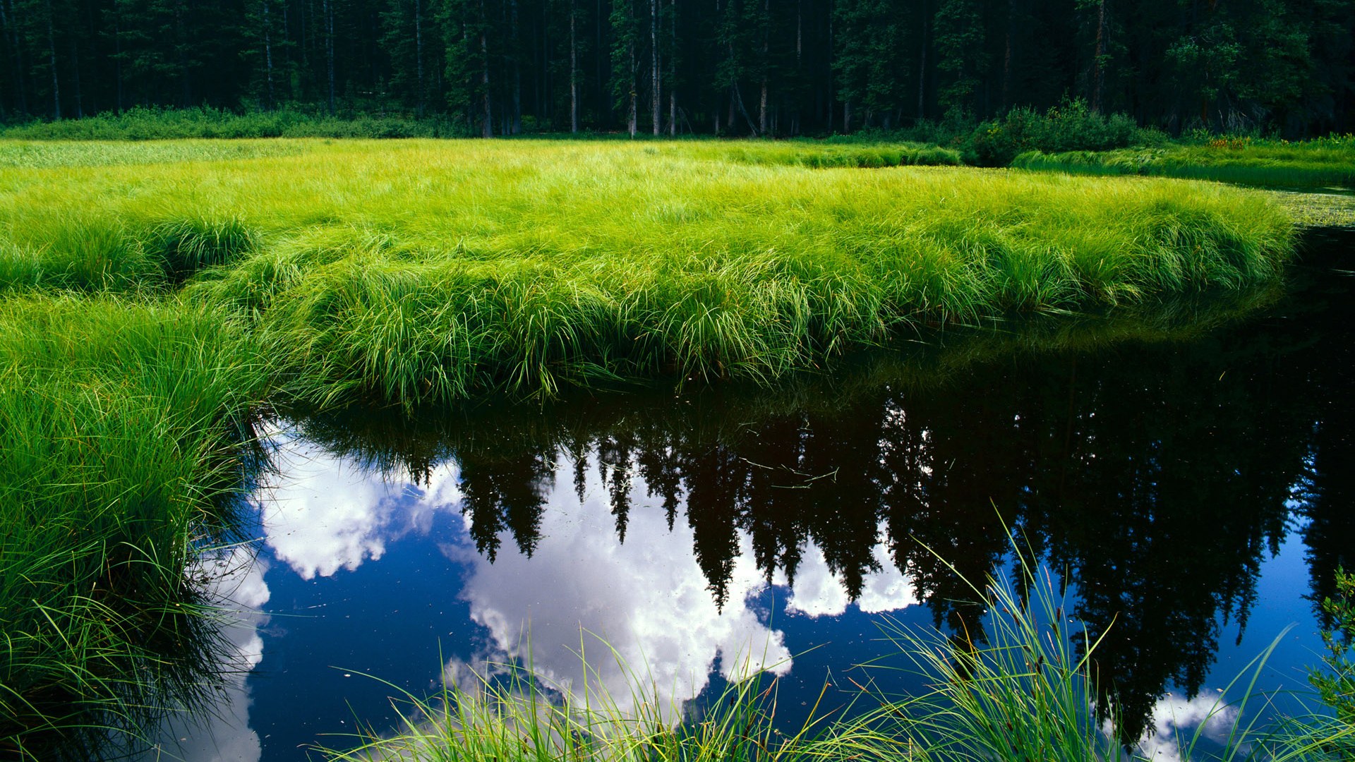 华体会网站-蝶泳转身动作连贯度评分前五公布，蝶泳转身技术