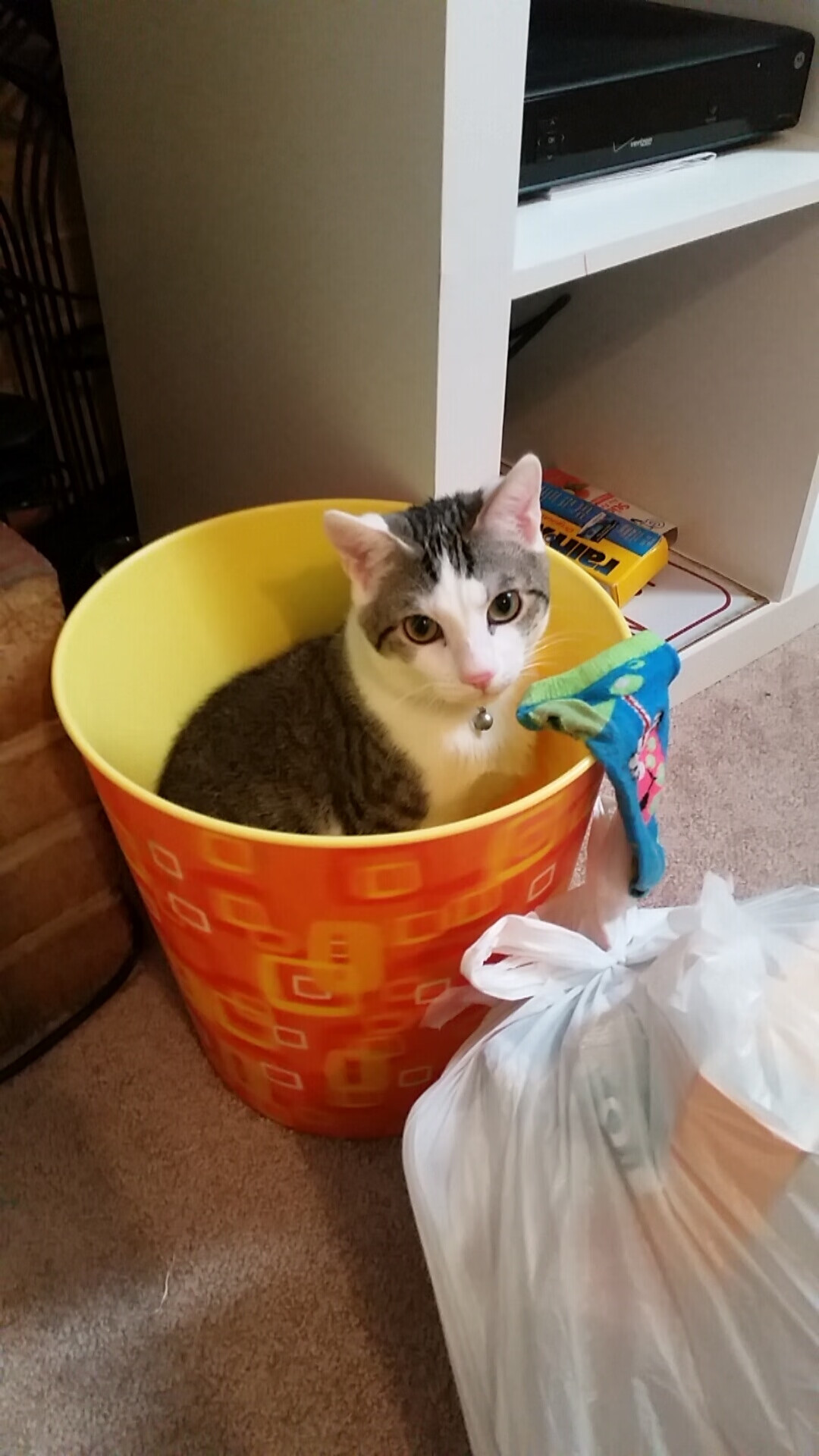 华体会app安装-乔治·巴尔：凭借强大的比赛经验，他在全黑队中场稳住了球队的节奏