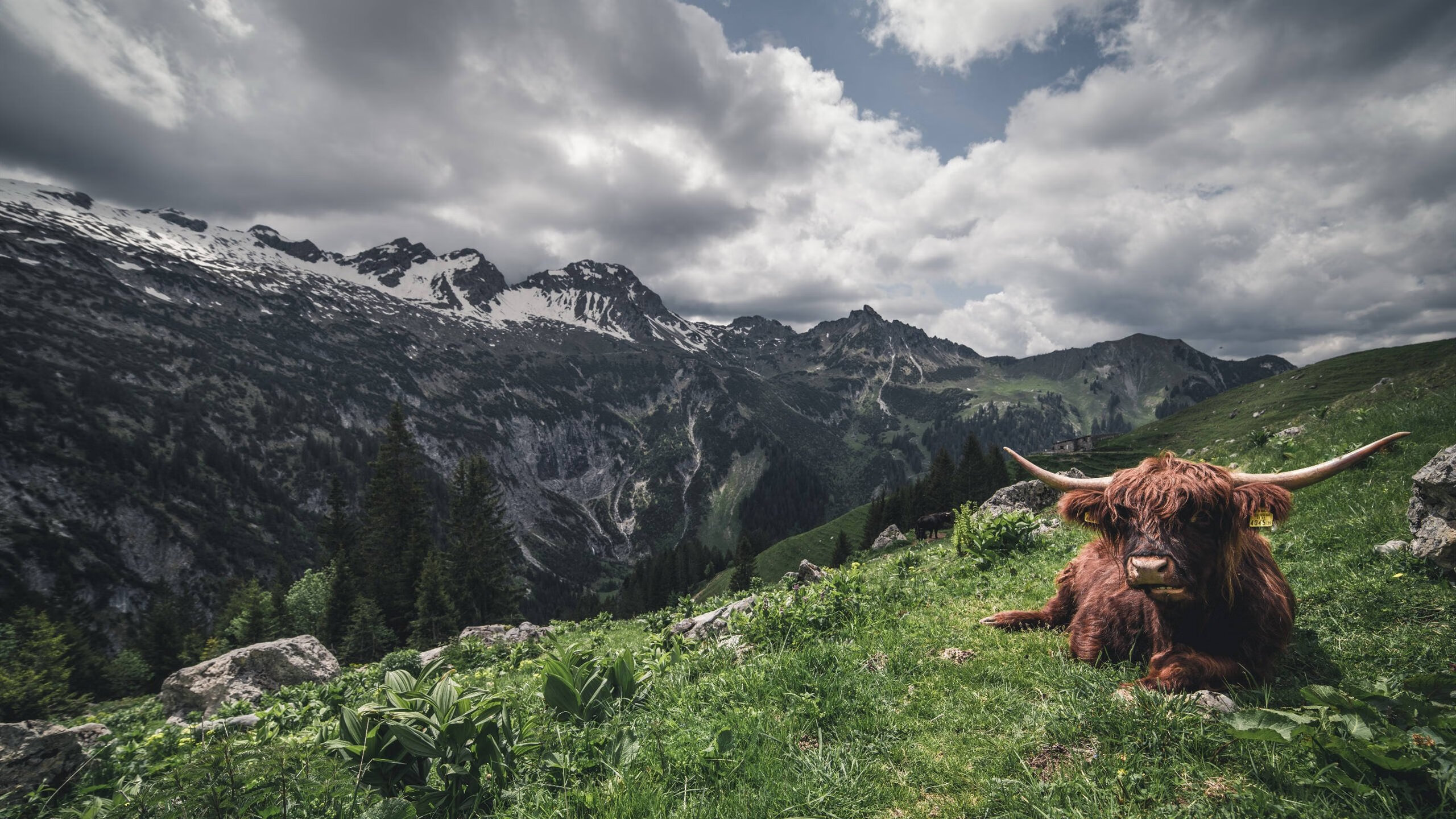 华体会登录-图穆亚在比赛中的全能表现，成为袋鼠队不可或缺的核心，穆拉德忠·图伊奇耶夫