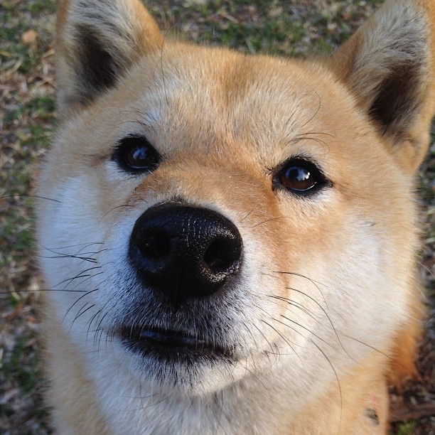 华体会登录入口-浓眉内外开花成为湖人前三节得分核心,浓眉受伤后湖人至今战绩