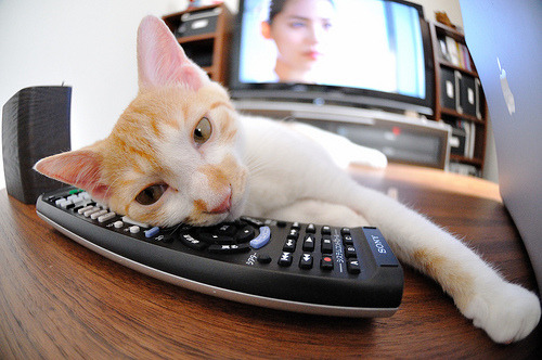 -球队科技赞助商公布新训练设备合作方案,技术型球队