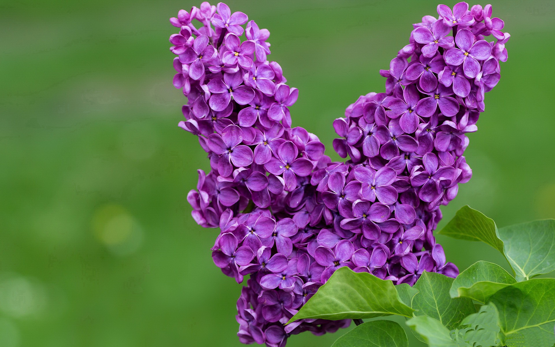 华体会平台-中国足球媒体报道与社会责任的关系探讨，中国足球报道微博微博