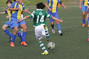 华体会网站-中国足球青年训练营国际标准合作路径探析，国家足球青训